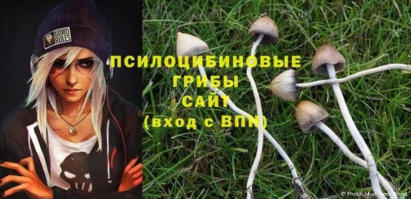 кокаин перу Гусь-Хрустальный