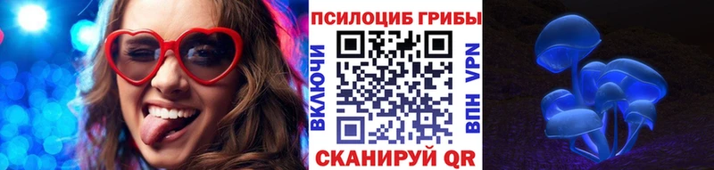 Купить Кукмор Псилоцибиновые грибы Psilocybine cubensis